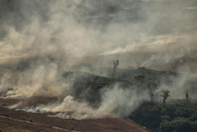 The Amazon Is Still Burning – Here Is How You Can Monitor&nbsp;It