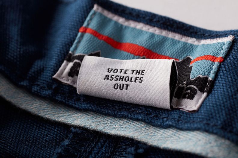 Patagonia Has Very Powerful, Yet Simple Voting Advice