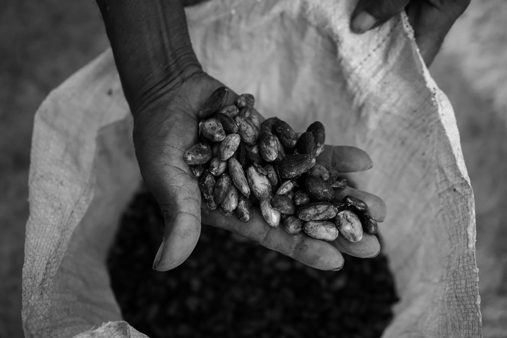 How Cheap Is That Chocolate In The Window? – How The Cocoa Industry Keeps Consumers&nbsp;Uninformed