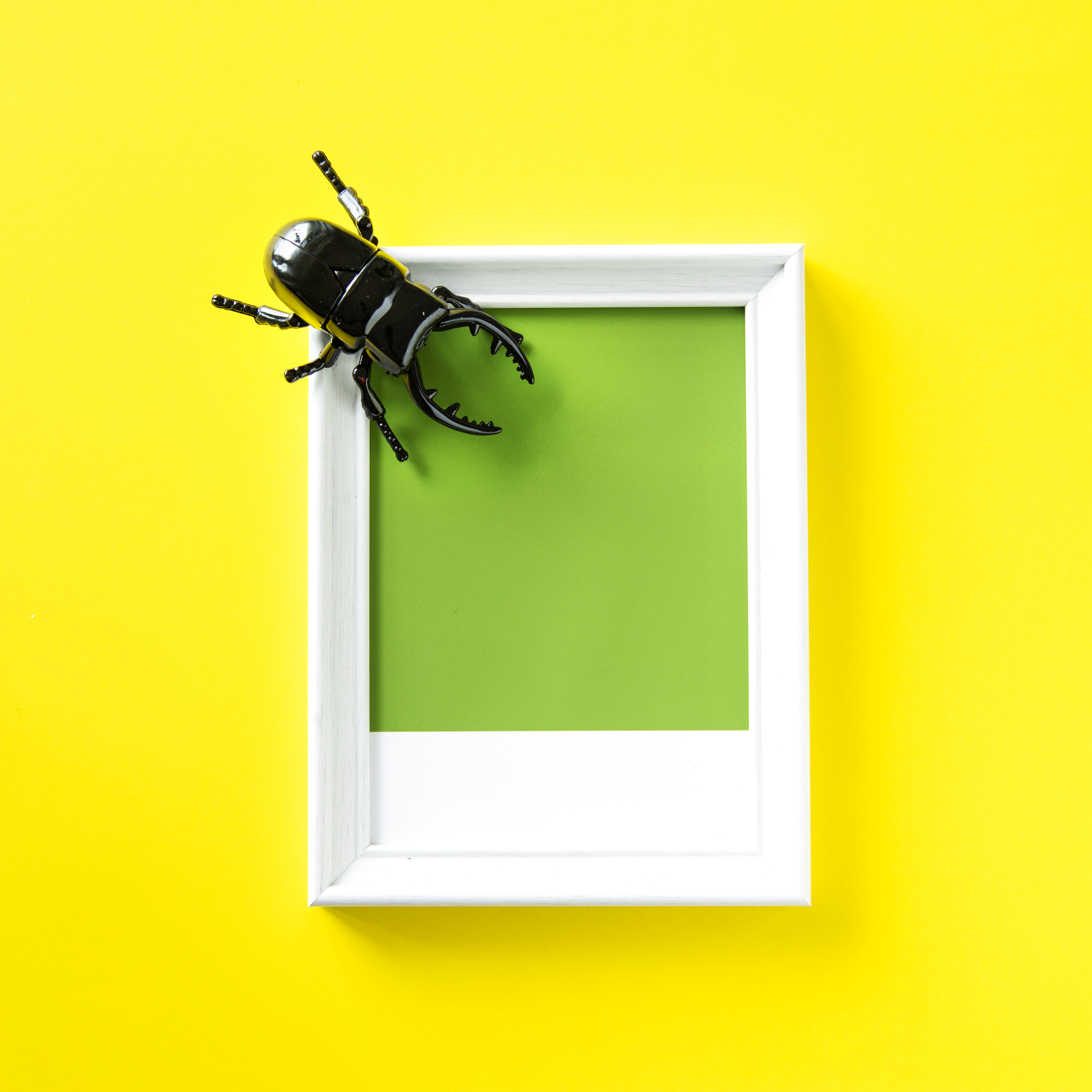 The Fall of Insects Will Be Our Silent Assassin – But The Smallprint Is Worse
