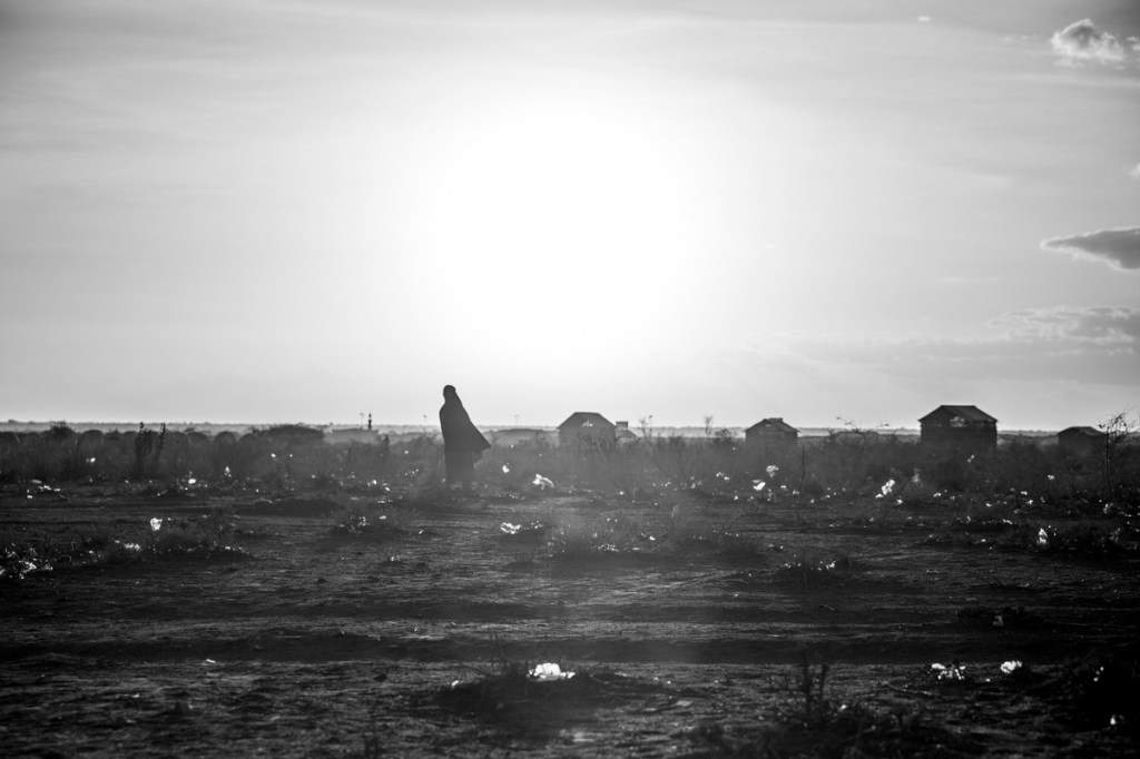 From Apathy To Energy. Education on Climate Change Must&nbsp;Happen