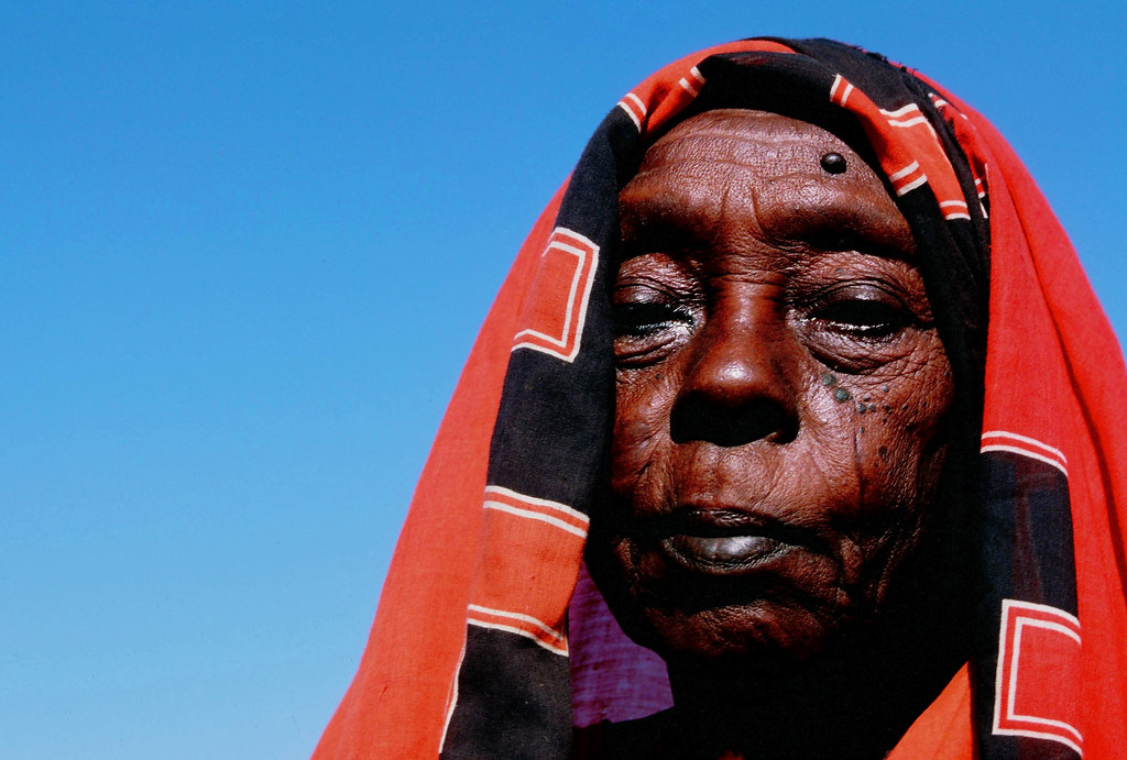 Homes for Ukraine scheme head wishes for same energy to help Sudanese refugees