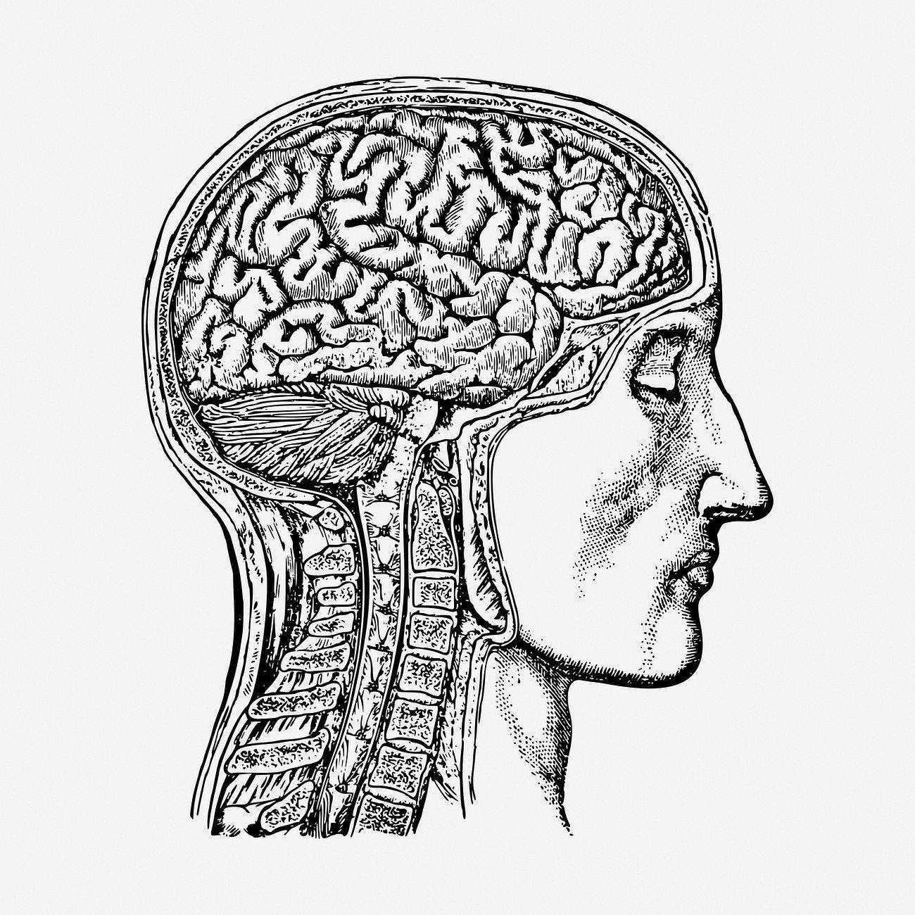 Does Living with OCD Increase the Risk of Dementia? | Health