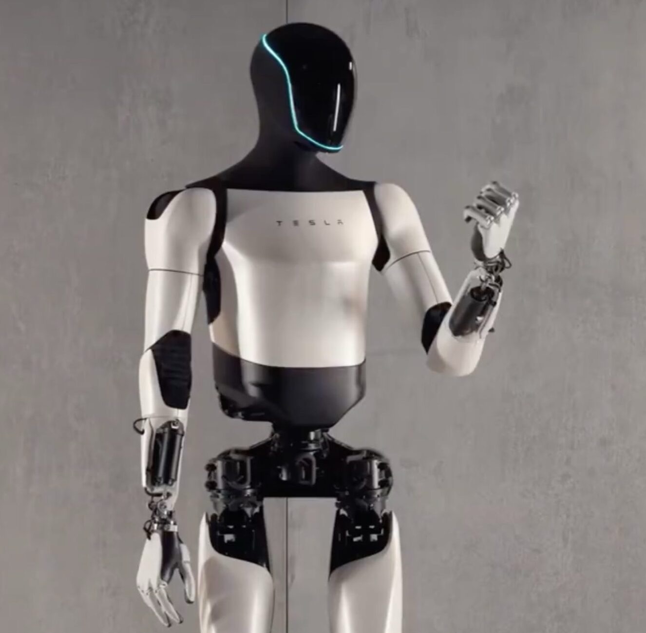 Tesla Optimus: We Don’t Need Personal Robots, Elon