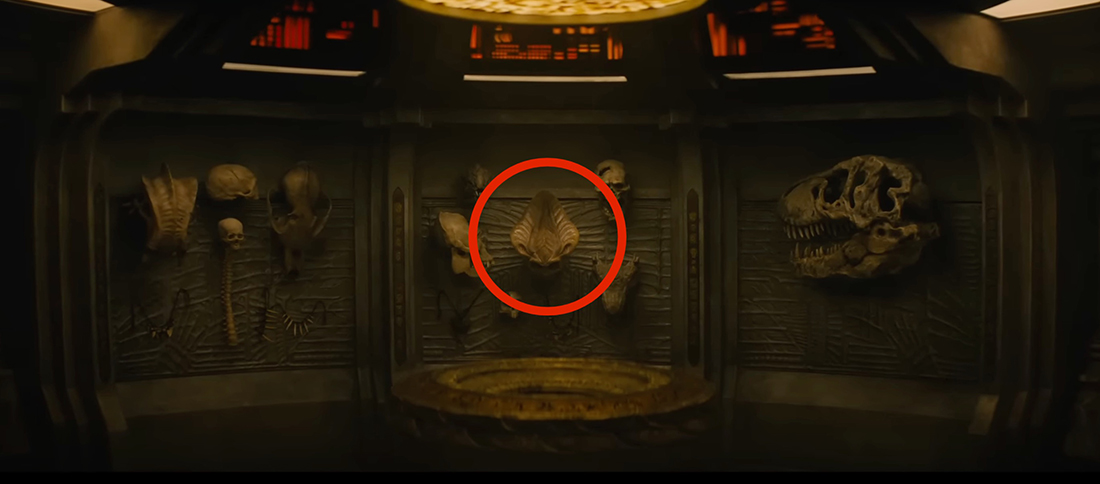 A Predator trophy wall displays various skulls from across the universe, including one belonging to a Harvester alien from Independence Day.