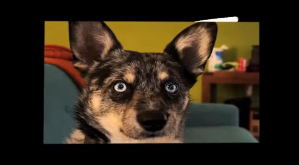 ‘Movie Night’: Aesop Rock’s Imagination Makes Banal&nbsp;Exciting